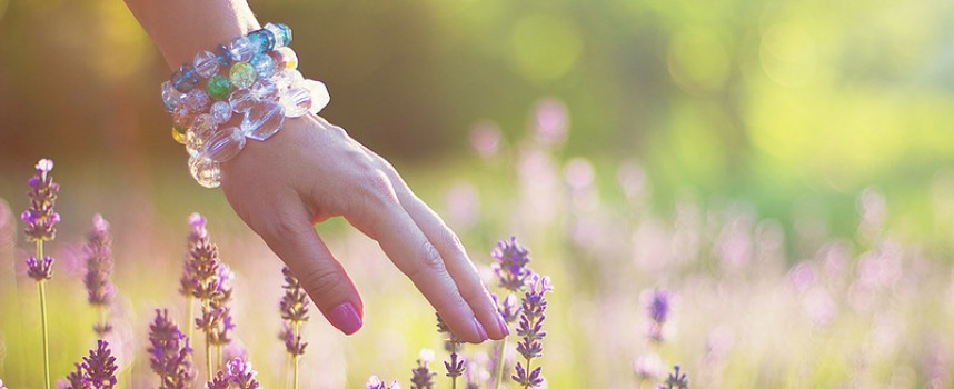 Сила растений