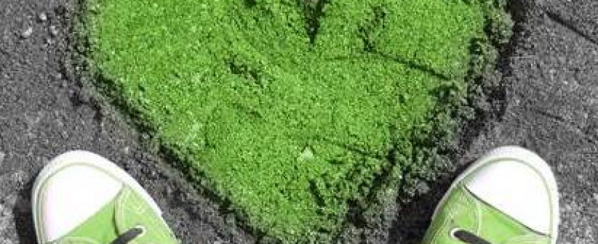 Зелёный цвет