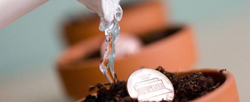 Ритуал с пшеницей на привлечение разовой суммы денег