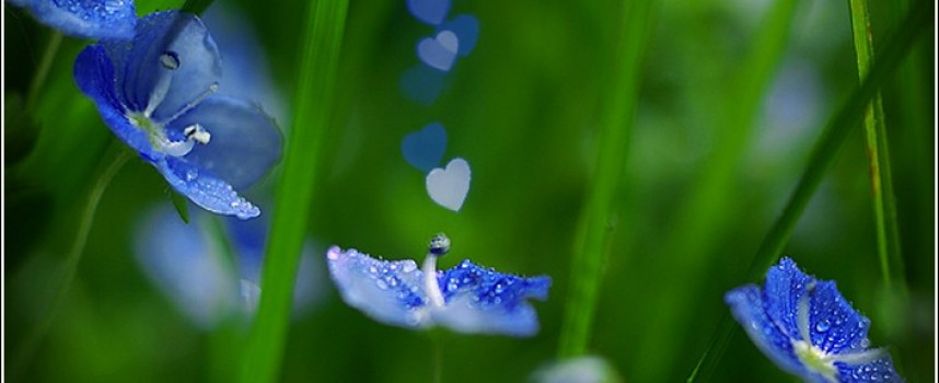 5 мая – Зельник