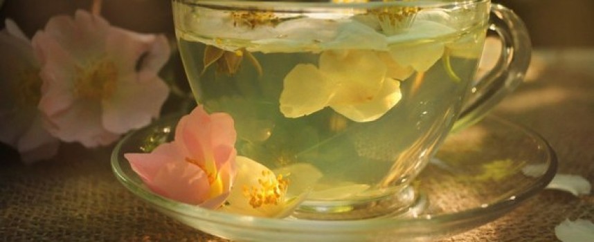 Рецепт для чихающих и прихворавших