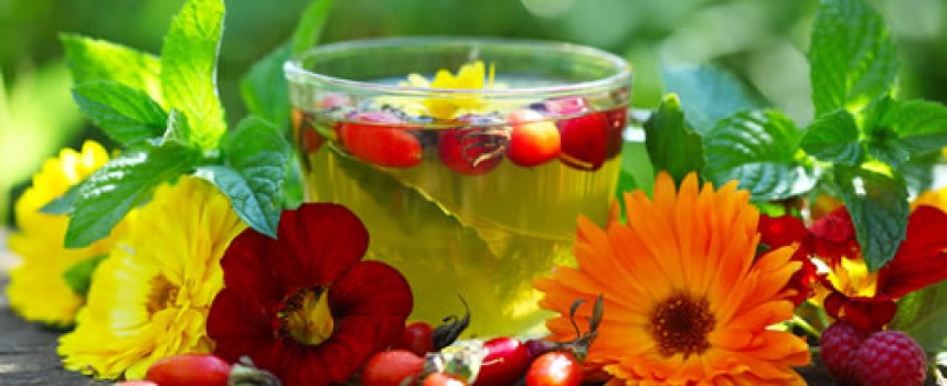 Рецепт травяного сбора для выведения токсинов