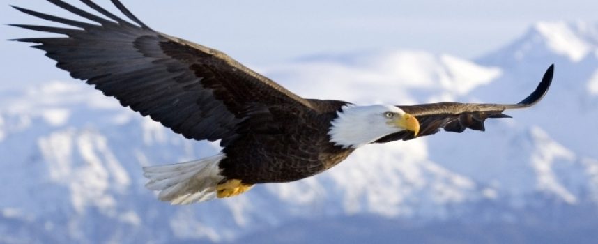 Зороастрийский гороскоп. Орел