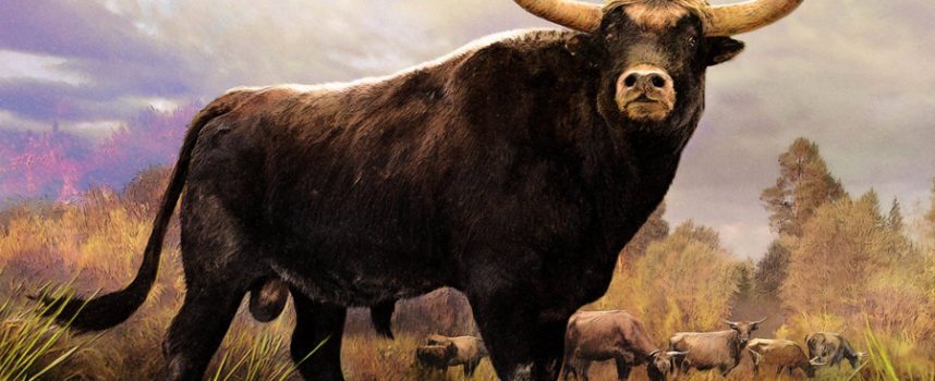 Зороастрийский гороскоп. Бык