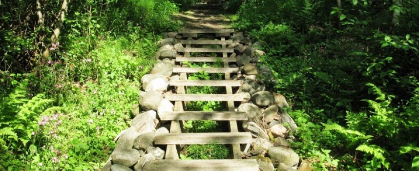 5 ноября 2013 — 6 марта 2014 Венера в Козероге