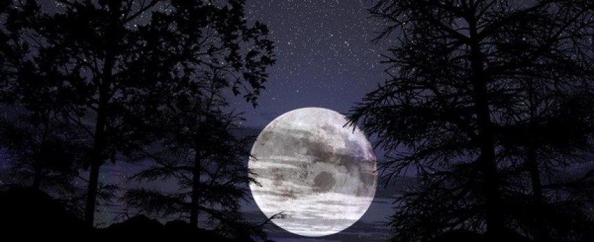 Полнолуния 2014 года