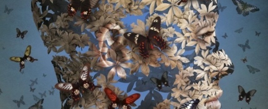 «Я или мы»: полнолуние Водолей — Лев 15.02.14