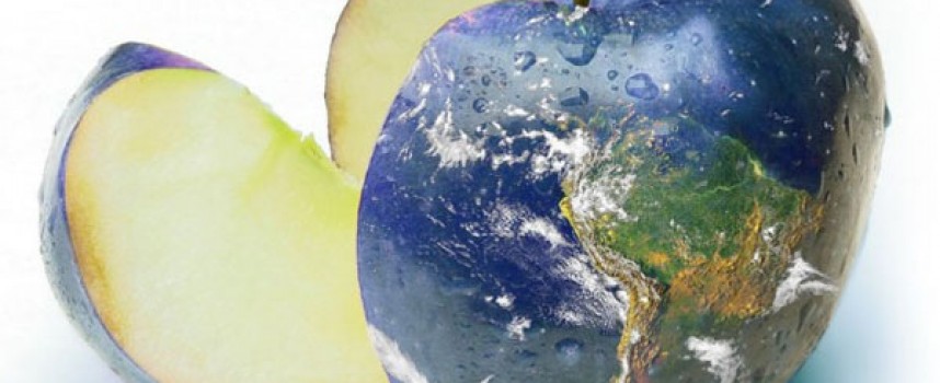 Инструкция к Жизни на Земле