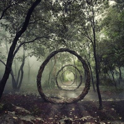 Заколдованный лес от британского художника