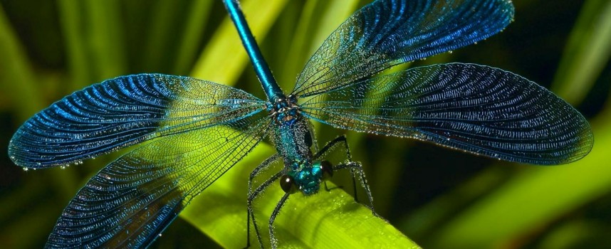 Ветры перемен