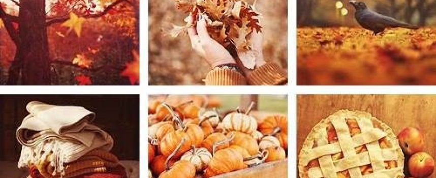 Дороги Мабона: прогноз на неделю с 22 по 28 сентября 2025