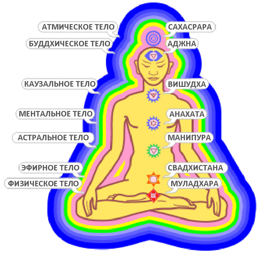 Схема тонких тел человека