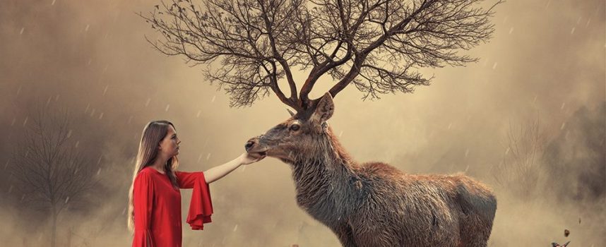 Таким как ты — миллион дорог