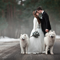 Волшебный ритуал 18 января «Открываем пути»