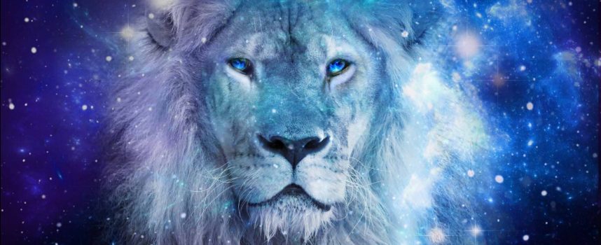 Новолуние во Льве 23 июля: демонстрируем себя