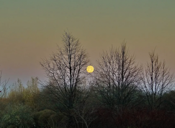Ночью осенняя светла. Осенняя Луна. Полнолуние осень. Vesennyaya Luna. Осенняя Луна фото.