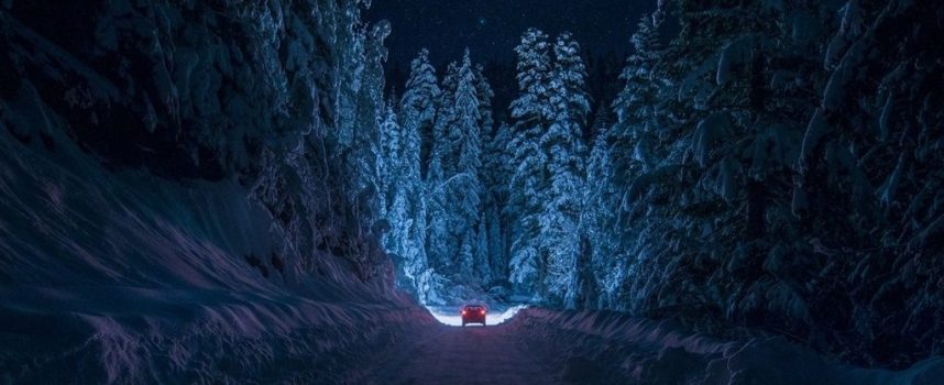 Путь по зимнему лесу: прогноз на 12 декабря