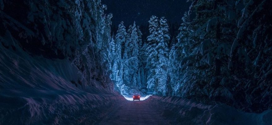 Путь по зимнему лесу: прогноз на 12 декабря