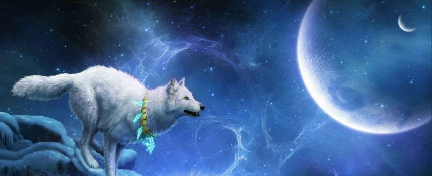 Луна Волка — выход из Коридора затмений: прогноз на неделю 21-27 января