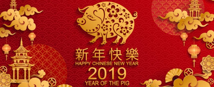 Гадание онлайн «Что вам готовит год Свиньи?»