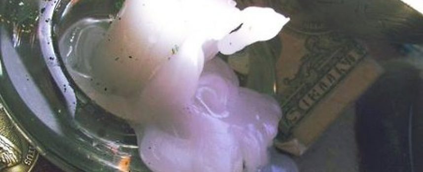 Первичная работа чаще всего — чистка