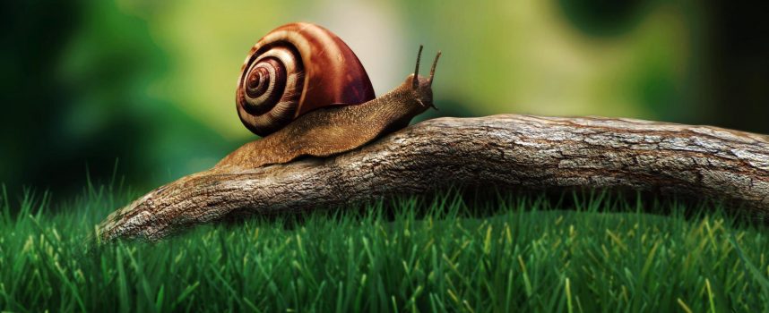 Не торопитесь! — прогноз на 12 августа