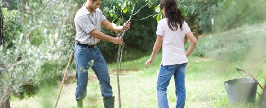 Крепко стоим на земле: прогноз на 22 апреля