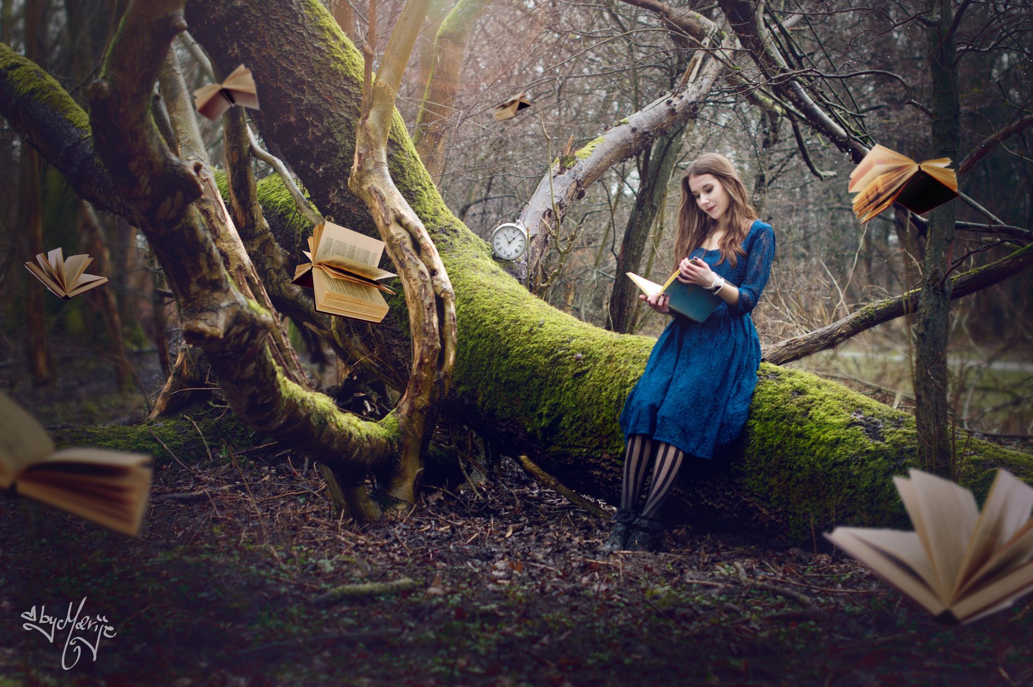 Книга среди деревьев. Сказочный лес Алиса в стране чудес. Алиса в стране чудес лес. Алиса в стране чудес дерево. Сказочная фотосессия в лесу.