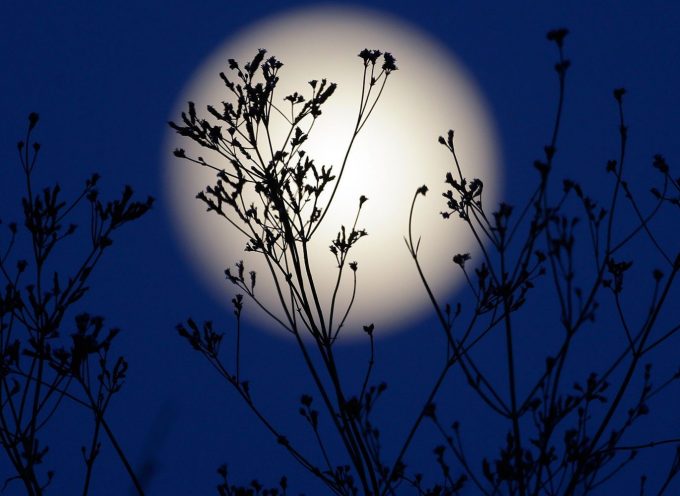 Март: Луна Семян. Полнолуние.
