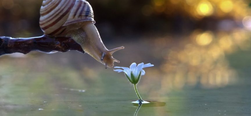 Чудеса случаются каждый день