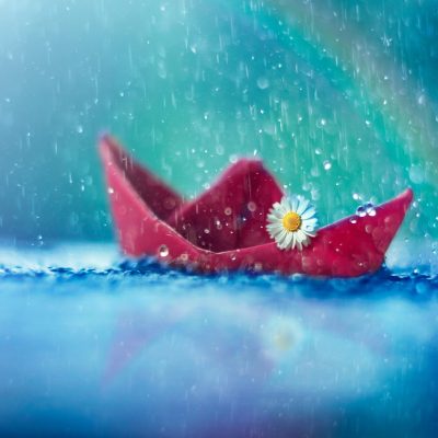 Magical Door for Thursday, November 28, 2024