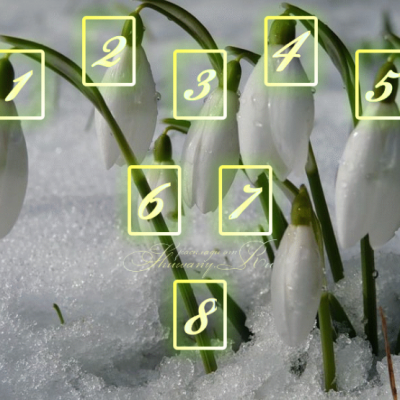 Spread for Imbolc “Snowdrops”