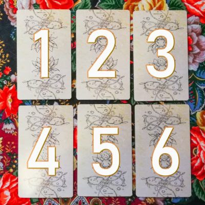 SPECIAL OFFER: 6 Cards for New Moon
