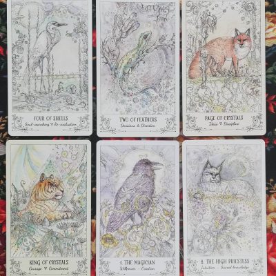 Revealing the Cards for the New Moon