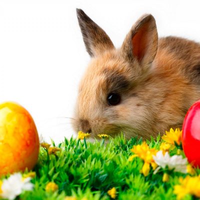 Celebrating Ostara