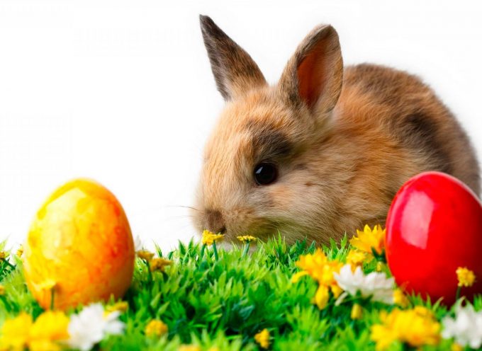 Celebrating Ostara
