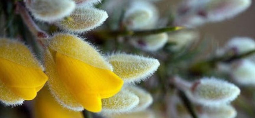 The Conception of a New World: Ostara on March 20th and Our Magical Ritual