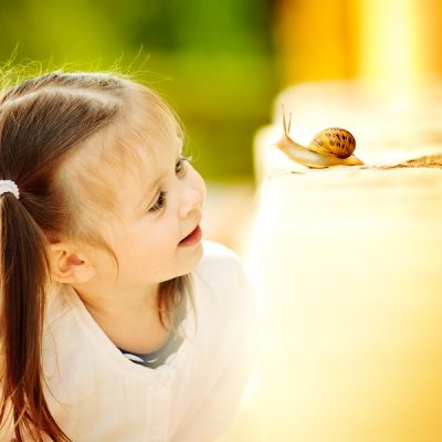 How to Find Joy in Life: Small Steps to Big Happiness