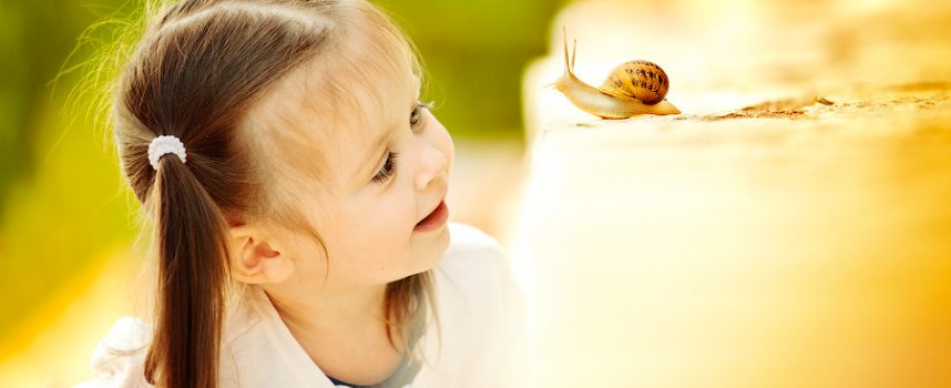 How to Find Joy in Life: Small Steps to Big Happiness