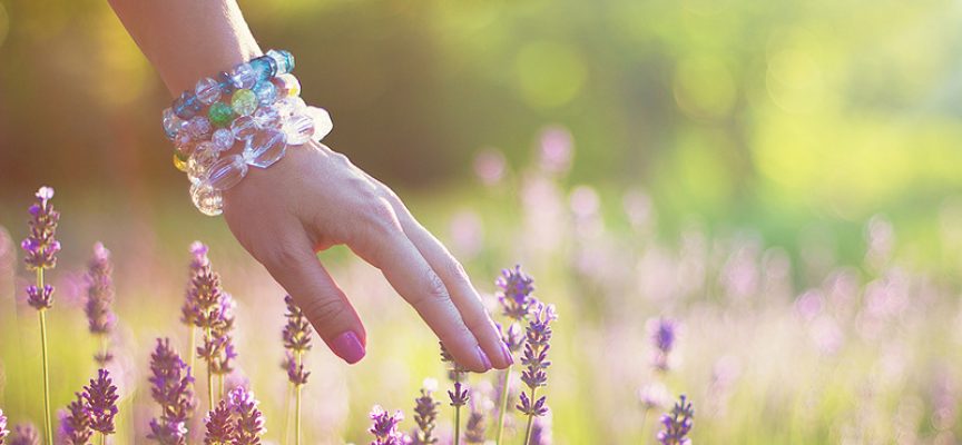 Lunar Tale of May by Shuwany