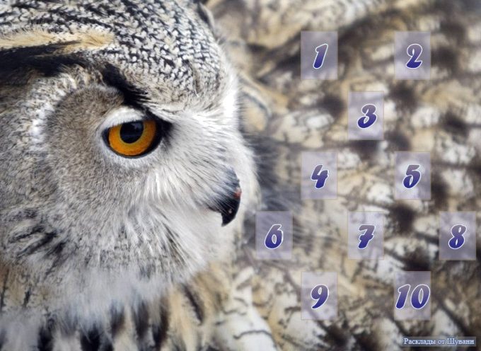 The “Owl” Spread