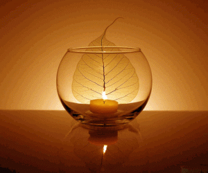 Practices of Fiery Harmony