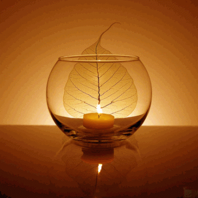 Practices of Fiery Harmony
