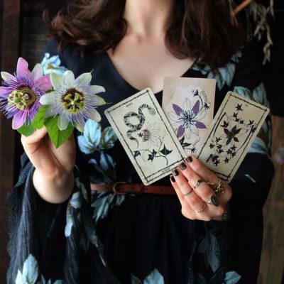 LITHA SPECIAL: ANSWER TO ONE QUESTION