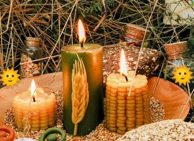 Harvest Time: Weekly Forecast for July 27 – August 2, 2026