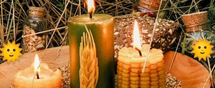 Harvest Time: Weekly Forecast for July 27 – August 2, 2026