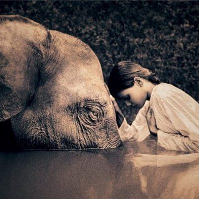 Практики дня «Дух Слона»