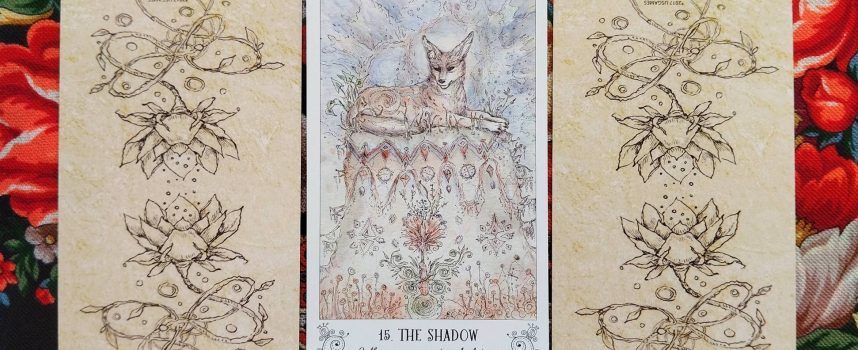 Magical Door for Wednesday, August 13, 2025