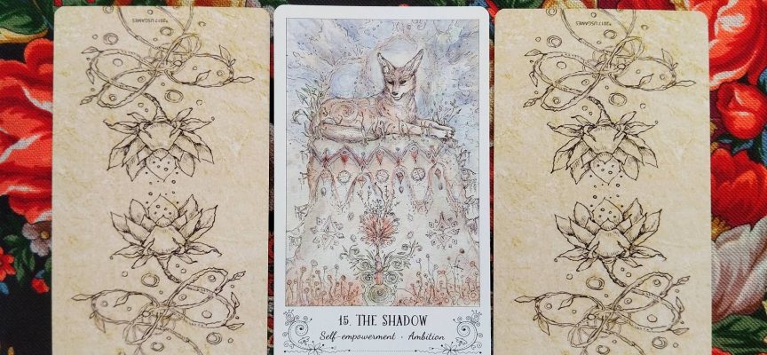 Волшебная дверь на среду 13 августа 2025