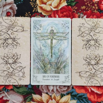 Magical Door for Thursday, August 14, 2025